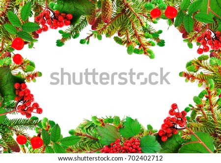 Green branches of a fir-tree and red berries isolated on a white background. Frame. 