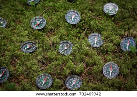 Small black compasses on  moss