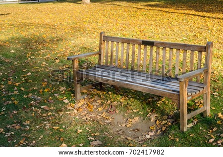 Empty Wooden Bench in a Public Park. The Lawn in Background is Covered with Fallen Autumn Leaves.