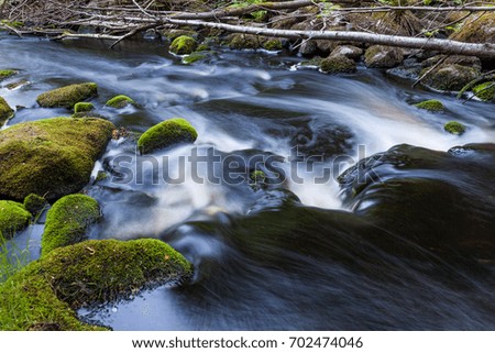 Small stream in mixed forest Finland nature