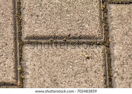 closeup of pavement bricks