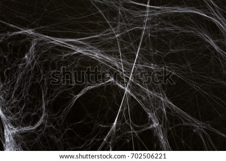 halloween, decoration and horror concept - ecoration of artificial spider web over black background Royalty-Free Stock Photo #702506221