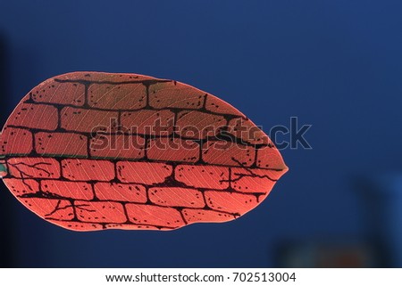 brick wall  painting on green leaf  on red light and blue background