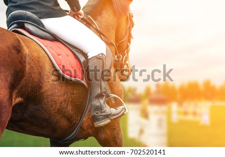 Horse riding closeup on show jumping field, toned image Royalty-Free Stock Photo #702520141