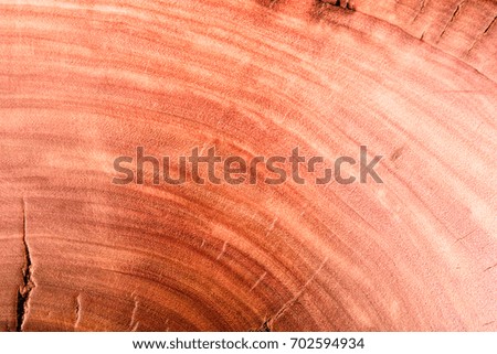 old rustic wood background texture