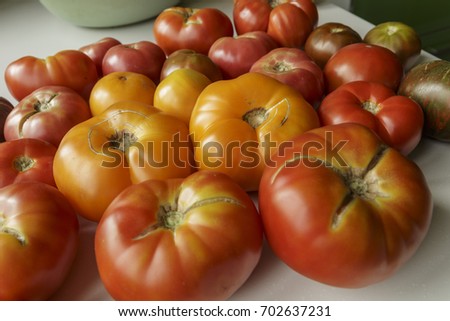 Vegan food. Fresh multicolored tomatoes. White Background