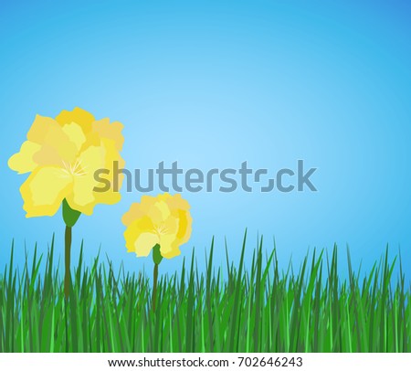 Spring yellow flowers on green grass on blue sky