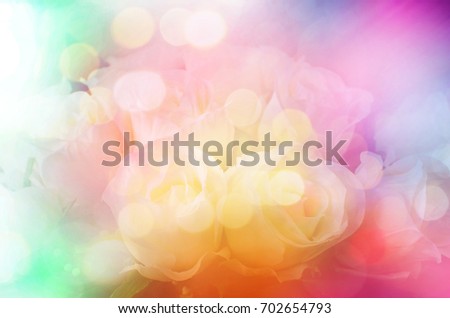 Beautiful flowers made with color filters in soft color and blur style, background
