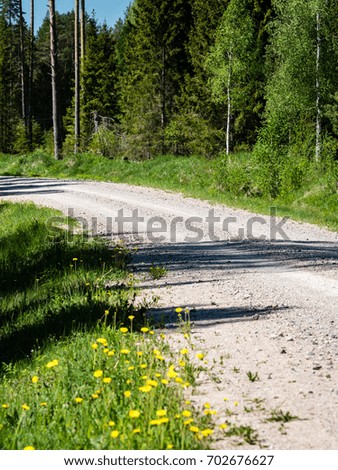 dandelion flowers and blossoms in spring blooming in natural environment with insects - vertical, mobile device ready image