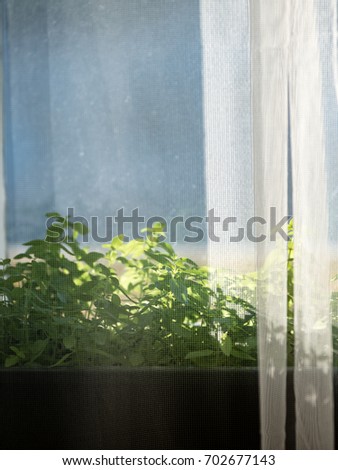 colorful flowers on the window background / natural ecological greeting. calm lighting - vertical, mobile device ready image
