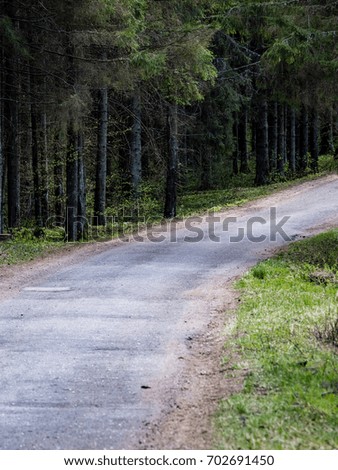 country gravel road in perspective in summer forest with trees and grass - vertical, mobile device ready image