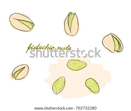 A bright card with hand drawn pistachios in warm tones isolated on white