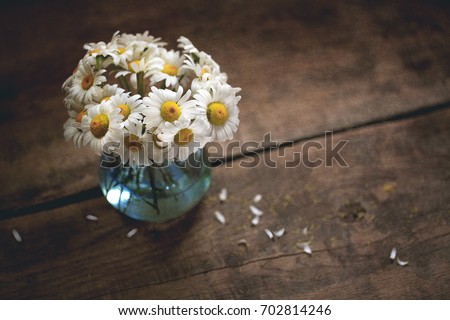 A bouquet of chamomiles in a bluish vase, on an old tree