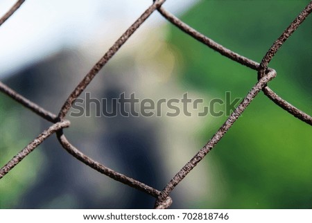 Close up on old fence 