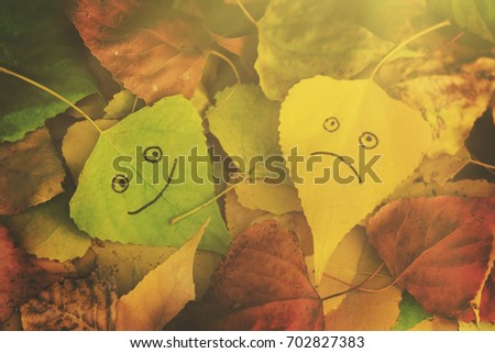 Green and yellow leaves with a picture of happy and sad faces on the background of fallen autumn foliage. Toned