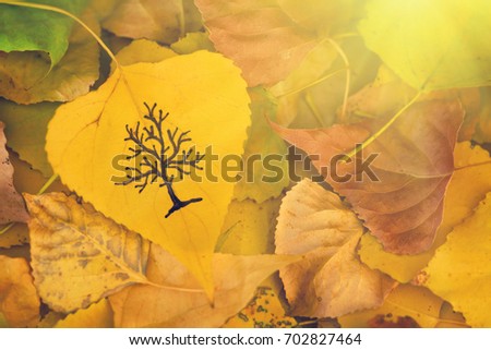 Yellow leaf with a picture of bare tree on the background of fallen autumn foliage, sunny