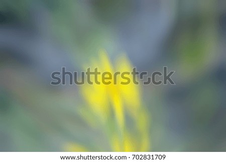 Blurred background, flowers Abstract Green, blue and yellow bokeh light
