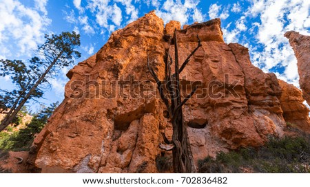 Autumn scenery in Bryce Canyon National Park, with beautiful sky