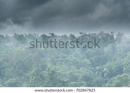 Mountain forest rainy season and black sky