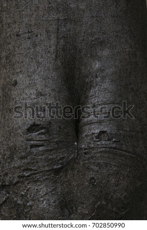 tree texture look like human body