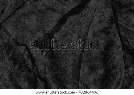 Black Autumn Foliage Background Grunge Texture