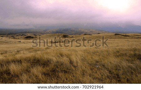 Nature stock images. Landscape in Hawaii. Peaceful natural scenery