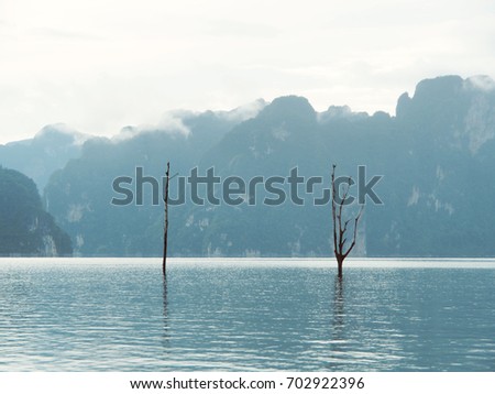 Pictures of two dead trees standing in the peaceful lake. The background is a mountain covered by fog.