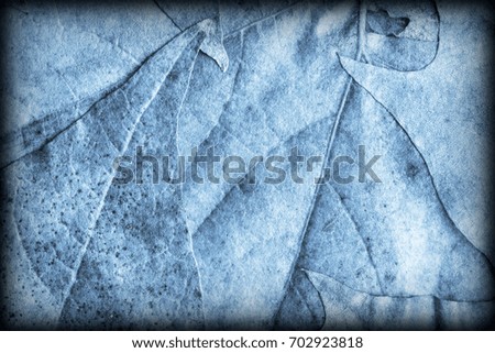 Blue Autumn Foliage Background Vignetted Grunge Texture