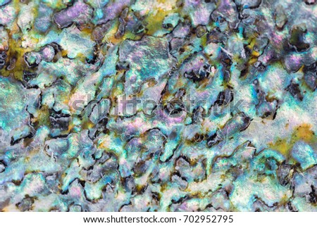 Nature texture pattern of nacre mother-of-pearl inner side of Paua, Perlemoen or Abalone shell macro abstract background Royalty-Free Stock Photo #702952795