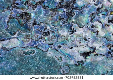 Nature texture pattern of nacre mother-of-pearl inner side of Paua, Perlemoen or Abalone shell macro abstract background Royalty-Free Stock Photo #702952831