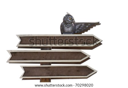Isolated on white blank road sign with three arrows, with the figure of an owl