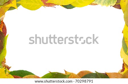 frame from multi-coloured fallen down leaves