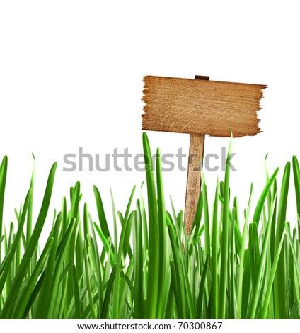 Wood sign with grass isolated on a white background