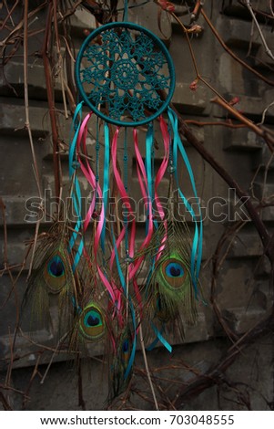 Dark turquoise dream catcher with peacock feathers against the background of a concrete wall and grapes. Ethnic design, boho style, tribal symbol.