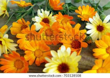 Colorful pattern bright orange of calendula flowers on wooden background. top view, natural background