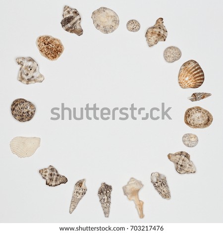round frame with sea-shells on white background