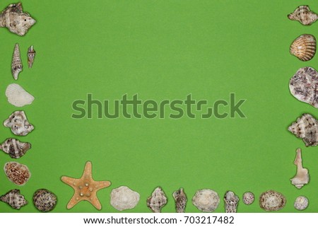 sea-shells and starfish ornament on green background