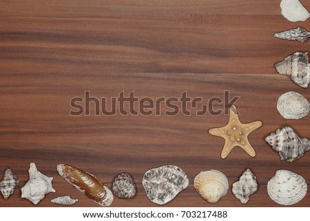 ornament with different seashells on wooden background