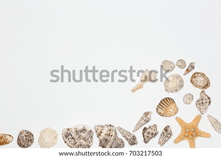 wave with different seashells on white background