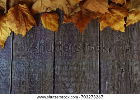 Frame of leaves on wooden table