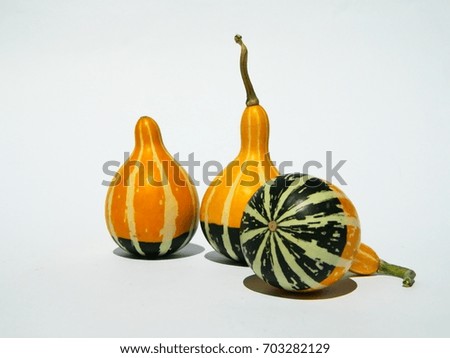 Beautiful decorative pumpkins, isolated on white background