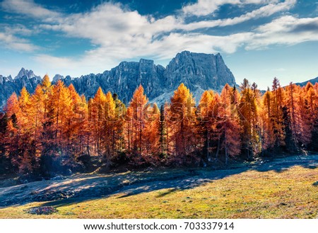 Gorgeous sunny view of Dolomite Alps with yellow larch trees. Colorful autumn scene of Ponta dei Lastoi mountain range. Giau pass location, Italy, Europe. Beauty of nature concept background.