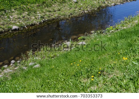 Beautiful herbal background summer - the creek flows through a green meadow
