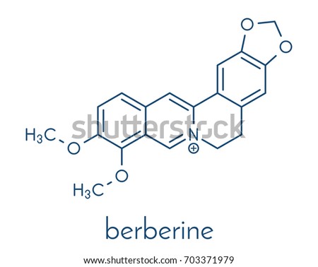 Berberine herbal medicine molecule. Skeletal formula. Royalty-Free Stock Photo #703371979