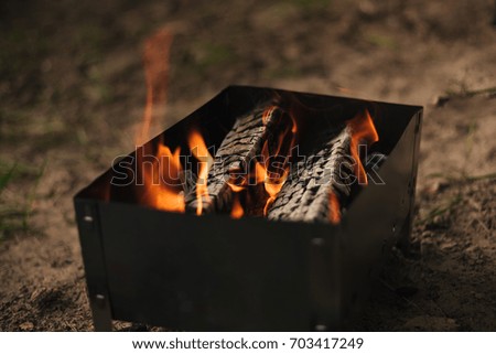 Burning firewood, in barbecue grill