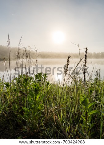 reflections in the lake water at sunrise with morning mist over the water and bright sun in summer - vertical, mobile device ready image