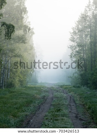 empty road in the countryside with forest in surrounding. perspective in summer with mist and green trees - vertical, mobile device ready image
