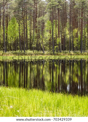 reflections of forest trees in the lake water at bright sun in summer and green foliage backgrounds - vertical, mobile device ready image