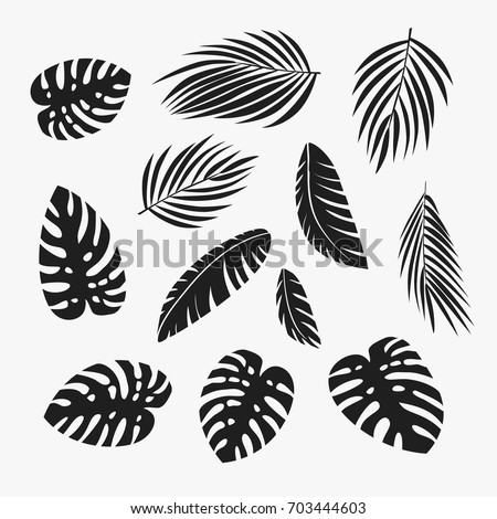 Palm leaves set. Banana, coconut, date palm leaves isolated on white background. Vector clip art.
