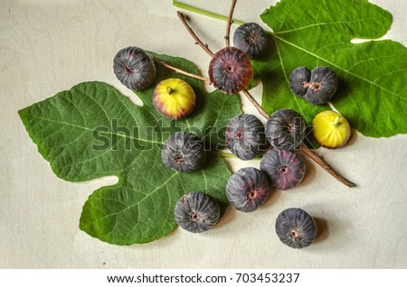 Ripened berries dark purple figs with large leaves and a dry twig lie on a plywood table.

